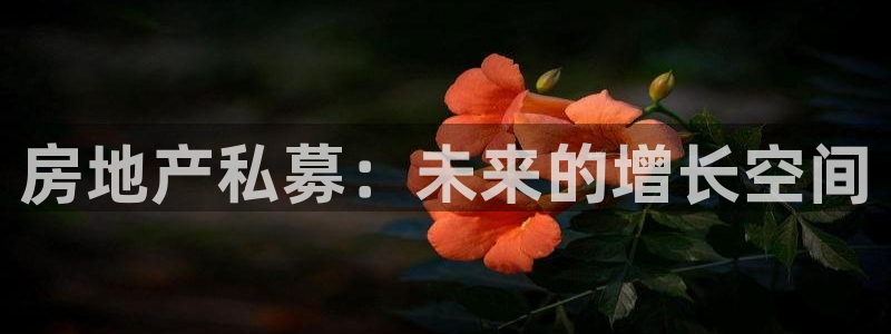 新宝5手机登陆：房地产私募：未来的增长空间