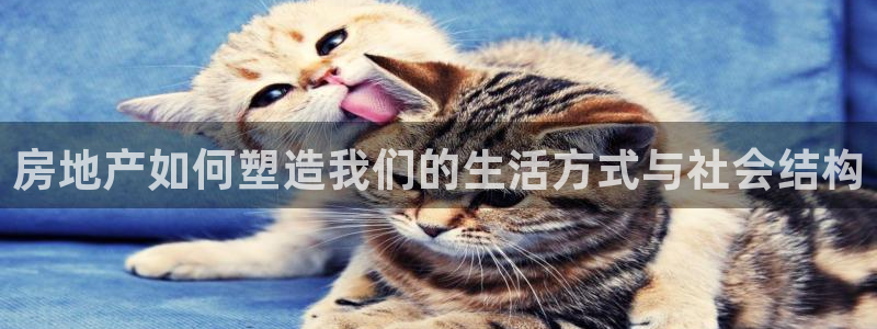 新宝b2O5O5O：房地产如何塑造我们的生活方式与社会结构