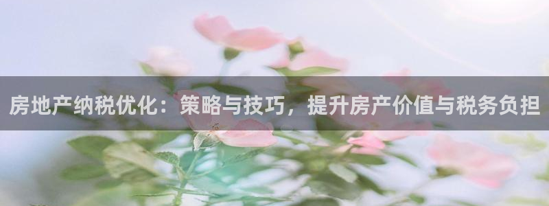 新宝速5：房地产纳税优化：策略与技巧，提升房产价值与税务负担