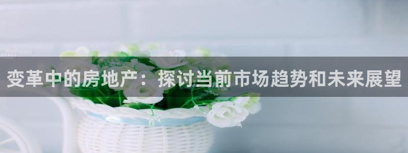 新宝5吕74OOO5：变革中的房地产：探讨当前市场趋势和未来