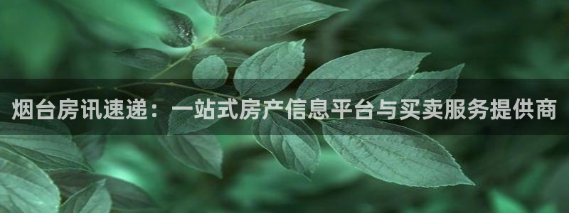 新宝5注册登录：烟台房讯速递：一站式房产信息平台与买卖服务提