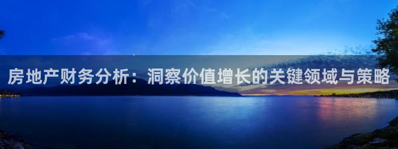 新宝5客户端登录：房地产财务分析：洞察价值增长的关键领域与策