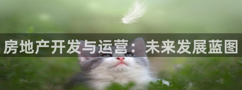 新宝5 唯一：房地产开发与运营：未来发展蓝图