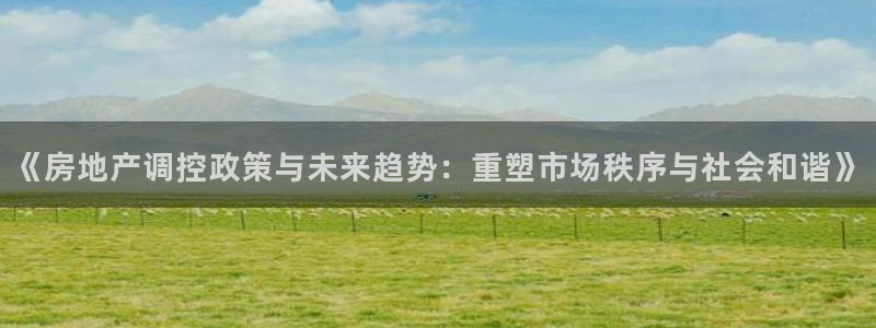 新宝5源码：《房地产调控政策与未来趋势：重塑市场秩序与社会和