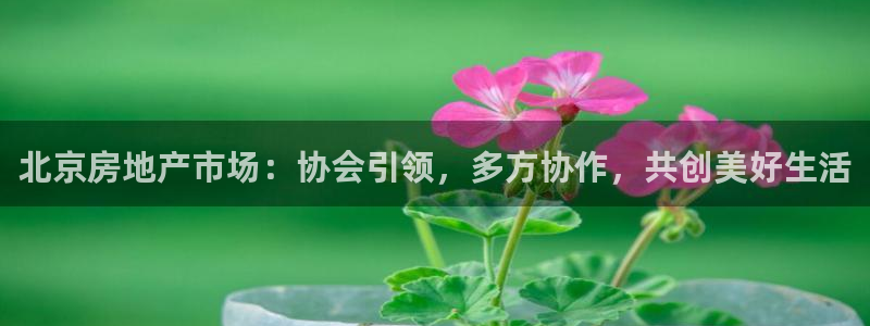 新宝5秒开：北京房地产市场：协会引领，多方协作，共创美好生活