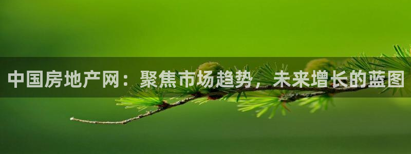 新宝5线路：中国房地产网：聚焦市场趋势，未来增长的蓝图