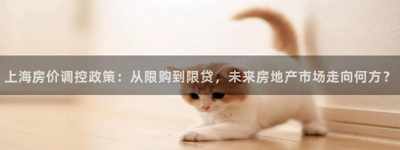 新宝5卫74OOO5：上海房价调控政策：从限购到限贷，未来房