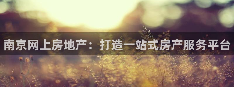 新宝速5：南京网上房地产：打造一站式房产服务平台