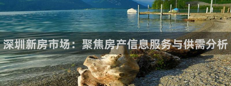 新宝5 唯一：深圳新房市场：聚焦房产信息服务与供需分析