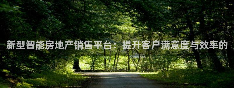 新宝5尤74OOO5：新型智能房地产销售平台：提升客户满意度