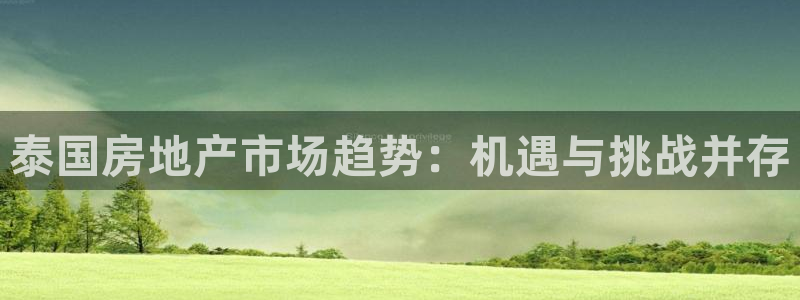 新宝5娱乐学：泰国房地产市场趋势：机遇与挑战并存