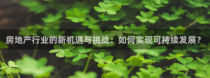 新宝5如何下载：房地产行业的新机遇与挑战：如何实现可持续发展