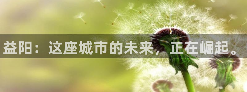 新宝5线路：益阳：这座城市的未来，正在崛起。