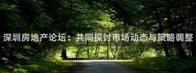 新宝5登录平台：深圳房地产论坛：共同探讨市场动态与策略调整