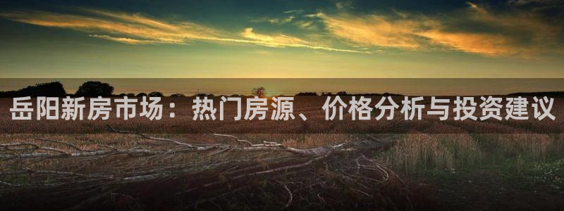新宝5首页：岳阳新房市场：热门房源、价格分析与投资建议