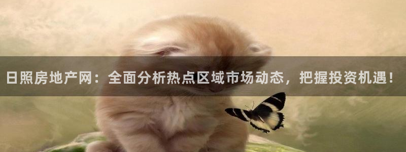 新宝5注册链接：日照房地产网：全面分析热点区域市场动态，把握