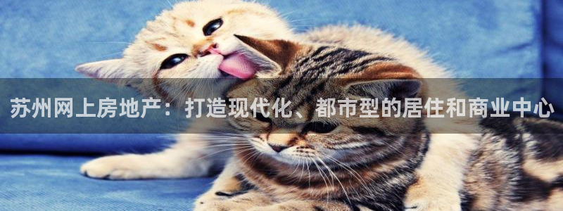 新宝5下载测试：苏州网上房地产：打造现代化、都市型的居住和商