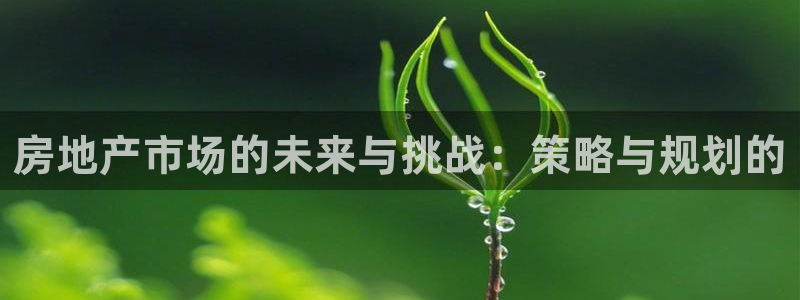 新宝6霸哥5：房地产市场的未来与挑战：策略与规划的