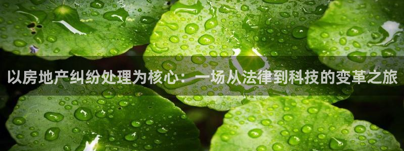 新宝5后：以房地产纠纷处理为核心：一场从法律到科技的变革之旅
