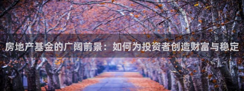 新宝5测速登陆：房地产基金的广阔前景：如何为投资者创造财富与