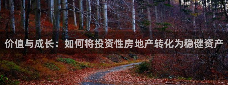 新宝5测速平台登录：价值与成长：如何将投资性房地产转化为稳健