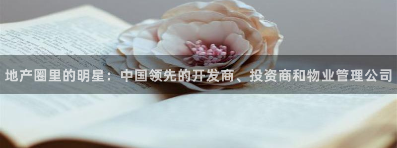 新宝5周74OOO5：地产圈里的明星：中国领先的开发商、投资