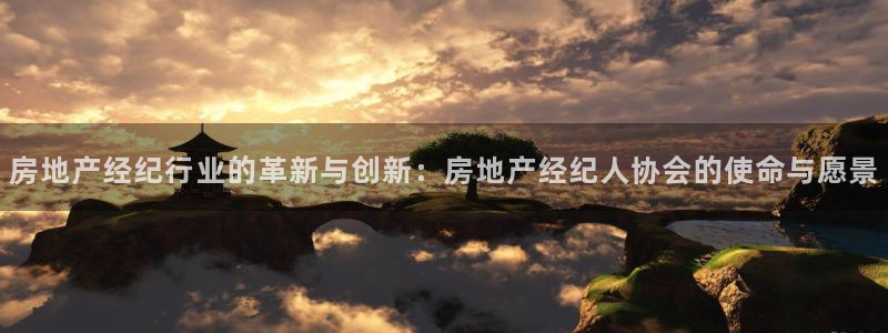 新宝5娱乐如：房地产经纪行业的革新与创新：房地产经纪人协会的
