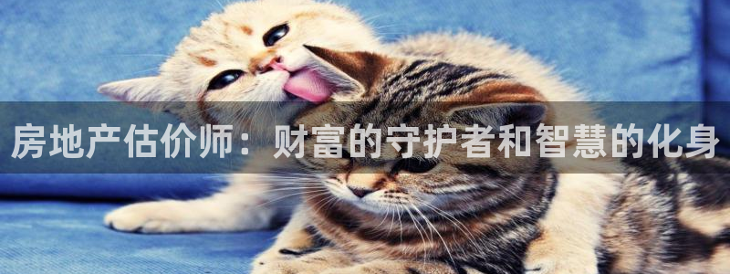 新宝5下载app：房地产估价师：财富的守护者和智慧的化身