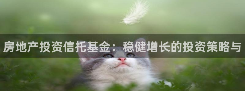 新宝5测速：房地产投资信托基金：稳健增长的投资策略与