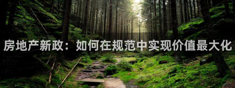 新宝股东瞧听2 5 5：房地产新政：如何在规范中实现价值最大