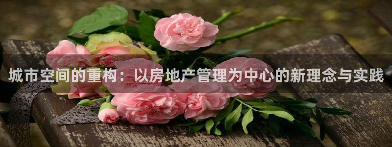 新宝5手机版登录：城市空间的重构：以房地产管理为中心的新理念