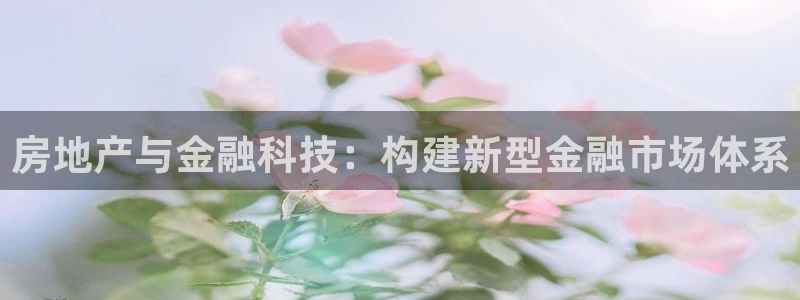 新宝5日：房地产与金融科技：构建新型金融市场体系