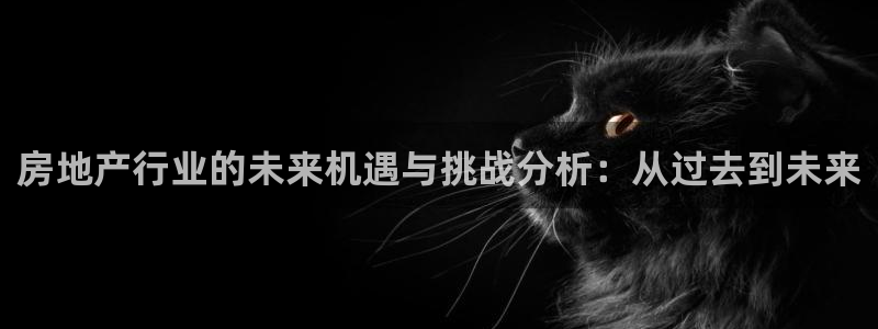 新宝5现在还能玩吗：房地产行业的未来机遇与挑战分析：从过去到