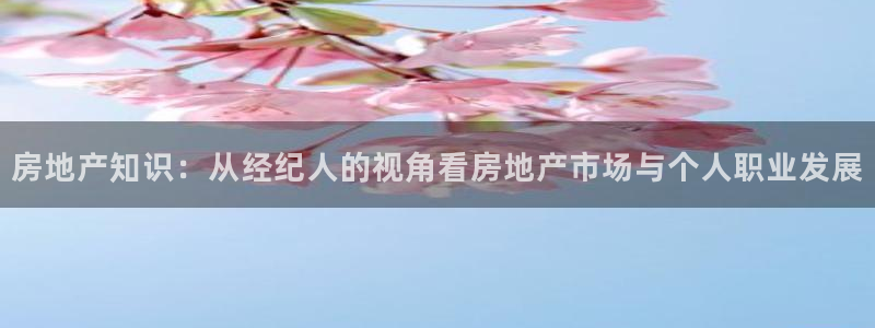 新宝5测速下载：房地产知识：从经纪人的视角看房地产市场与个人