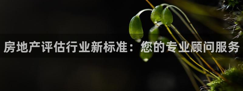 新宝5培训：房地产评估行业新标准：您的专业顾问服务