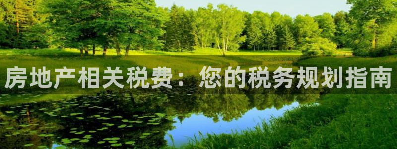 新宝5娱乐没：房地产相关税费：您的税务规划指南