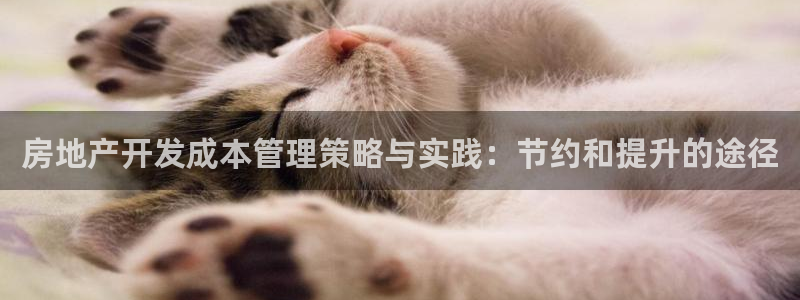 新宝5网站：房地产开发成本管理策略与实践：节约和提升的途径