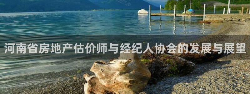 新宝5娱乐都：河南省房地产估价师与经纪人协会的发展与展望