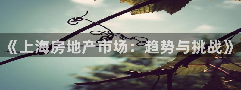 新宝5娱乐经：《上海房地产市场：趋势与挑战》