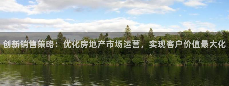新宝_5：创新销售策略：优化房地产市场运营，实现客户价值最大