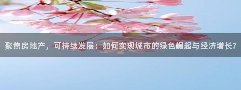 新宝5娱乐登陆：聚焦房地产，可持续发展：如何实现城市的绿色崛