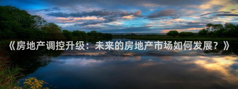 新宝 5测速：《房地产调控升级：未来的房地产市场如何发展？》