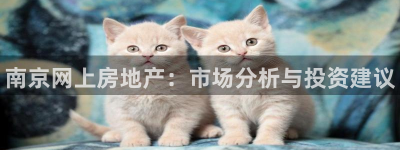 新宝5唯一：南京网上房地产：市场分析与投资建议