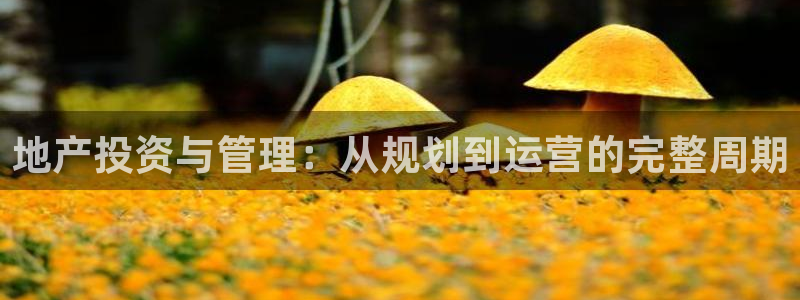 5新宝：地产投资与管理：从规划到运营的完整周期