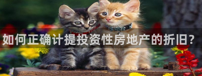 新宝5平台注册公司：如何正确计提投资性房地产的折旧？