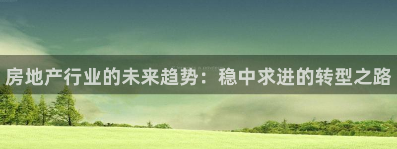 新宝5安卓版：房地产行业的未来趋势：稳中求进的转型之路