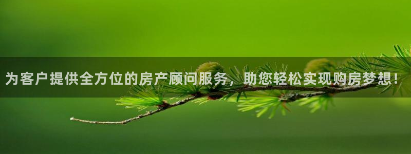 新宝5户端：为客户提供全方位的房产顾问服务，助您轻松实现购房