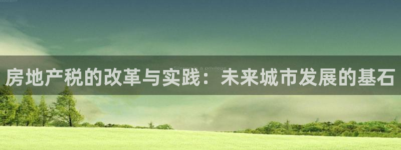 新宝5开好：房地产税的改革与实践：未来城市发展的基石