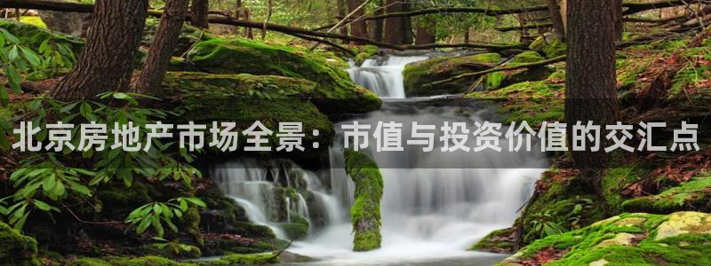 新宝5注册流程：北京房地产市场全景：市值与投资价值的交汇点