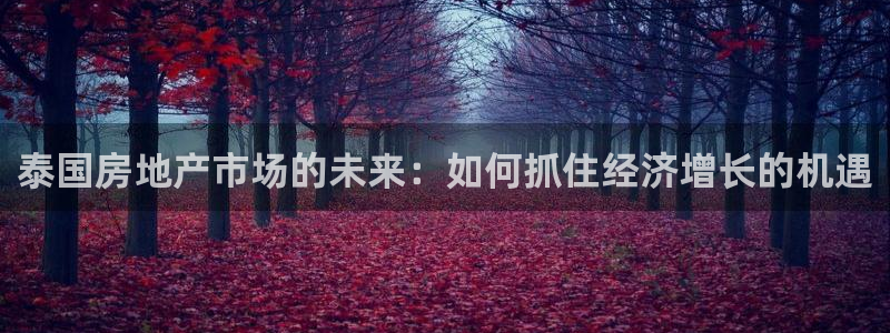 新宝5登录测速中心：泰国房地产市场的未来：如何抓住经济增长的